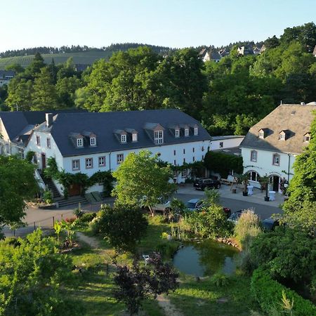 Hotel Und Weingut Karlsmuehle Mertesdorf Kültér fotó