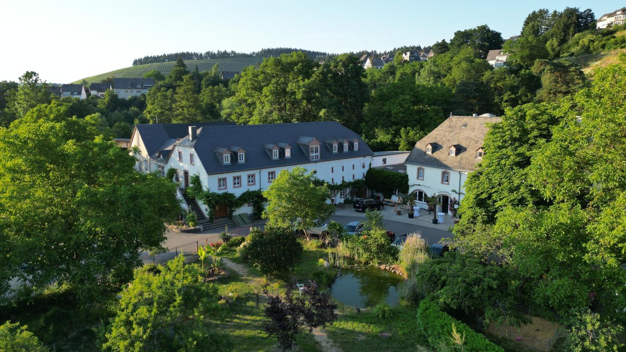 Hotel Und Weingut Karlsmuehle Mertesdorf Kültér fotó